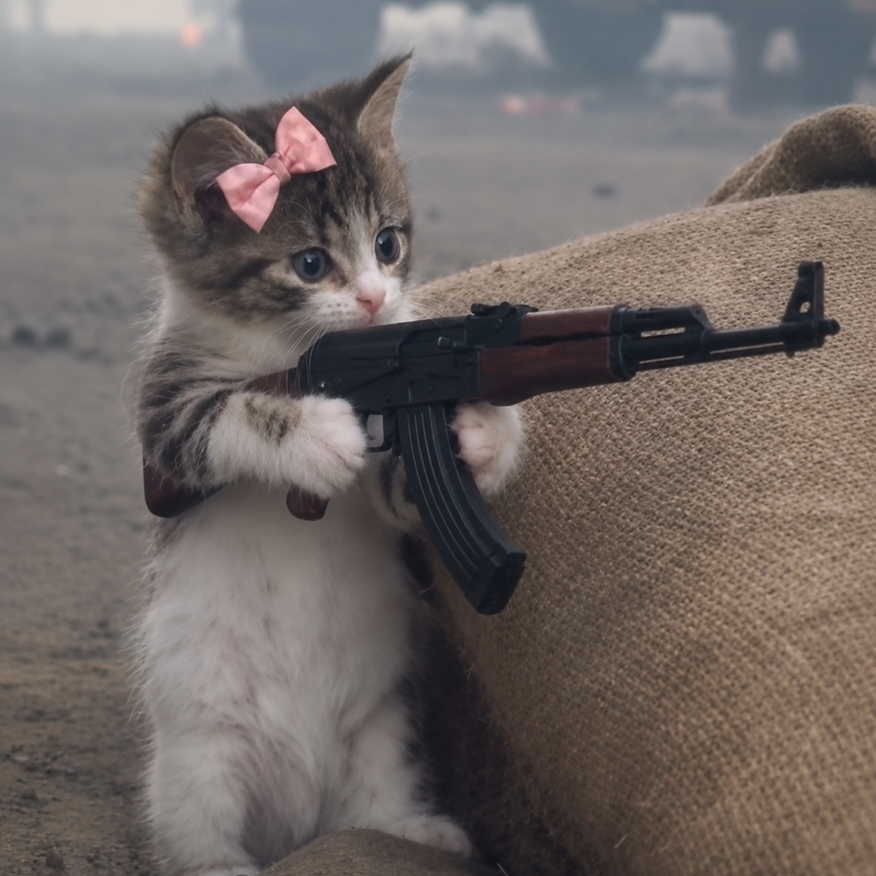 Close portrait of AK CAT behind a sandbag with her rifle raised